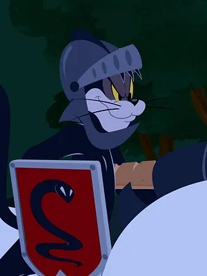 Tom et Jerry Show S1 E22