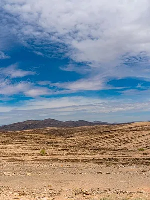 Des trains pas comme les autres