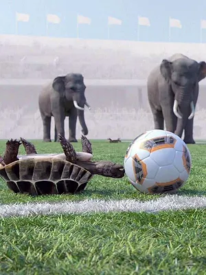 Athleticus S1 E12
