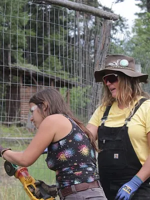 Habitations en péril