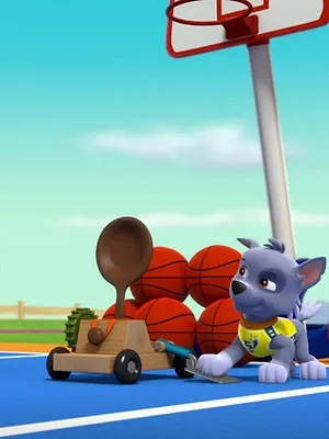 Paw Patrol, la Pat'Patrouille S2 E8