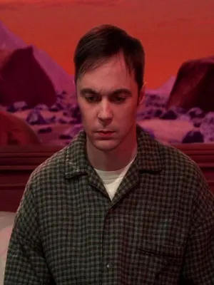 Big Bang Theory S5 E20