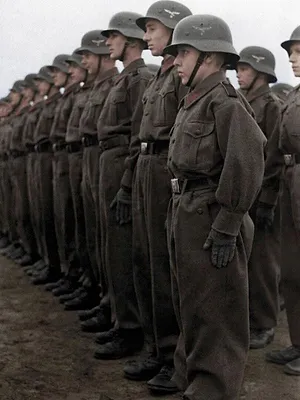 Jeunesses hitlériennes, l'endoctrinement d'une nation