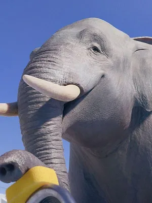 Athleticus S4 E16