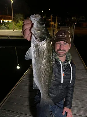 Les inventeurs de la pêche