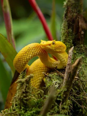 Derniers paradis sur Terre