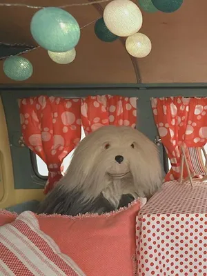 Samson & Marie S1 E42