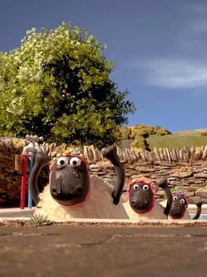 Shaun le champion S1 E3