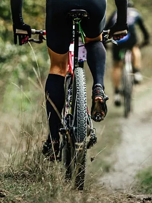 Wereldkampioenschap Veldrijden: Vrouwen
