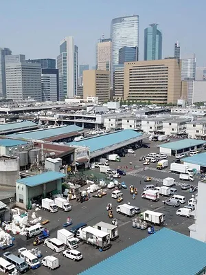 Tokyo, il était une fois le marché aux poissons