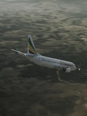 Mayday, dangers dans le ciel