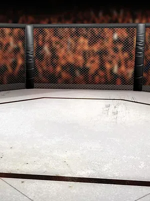 MMA, Chill & Fight