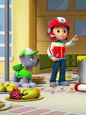Paw Patrol, la Pat'Patrouille S3 E18