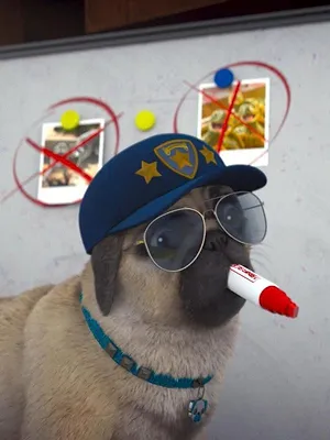 Mike, une vie de chien S1 E6