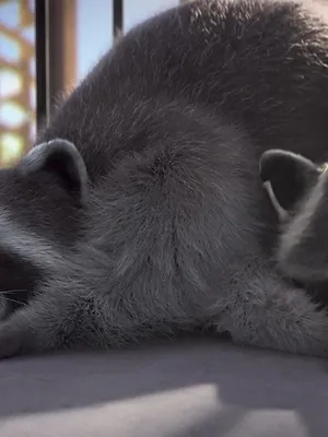 Mike, une vie de chien S1 E11