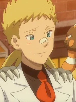 Pokémon : XY S19 E18