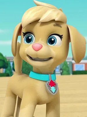 Paw Patrol, la Pat'Patrouille S9 E13