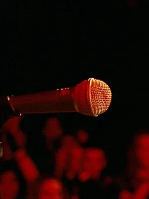Sound of Metal