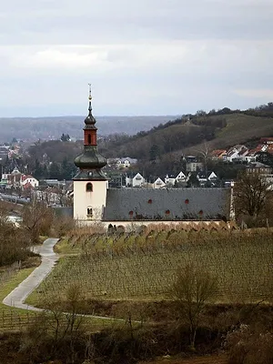 Expedition in die Heimat