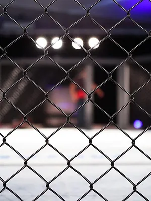 Le Vestiaire : Spécial UFC Paris