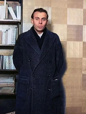 Face à l'histoire : Louis-Ferdinand Céline, le voyage sans retour