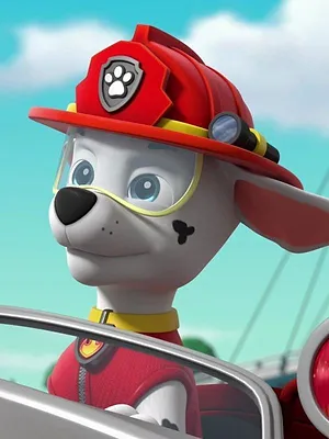 Paw Patrol, la Pat'Patrouille S9 E16