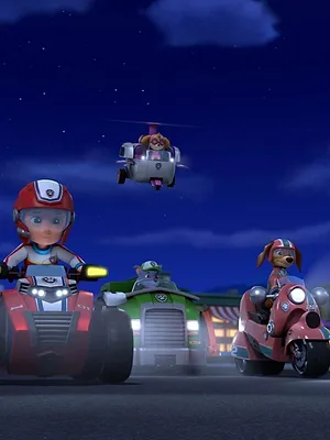 Paw Patrol, la Pat'Patrouille S9 E1