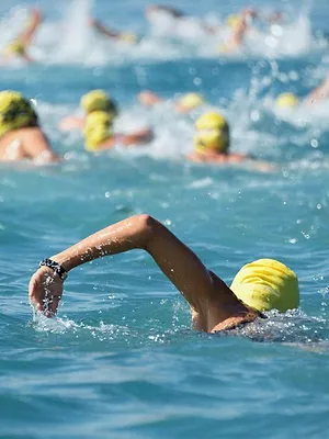 Triathlon : T100 Gold Coast