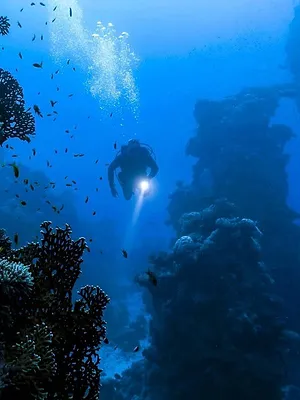 A la recherche des sous-marins perdus