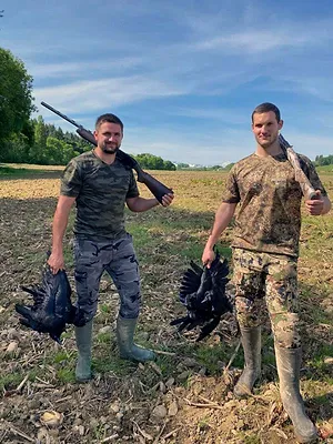 Régulation des corvidés, une chasse d'avenir