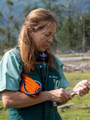 Michelle ou la vie sauvage