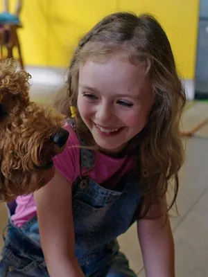 Waffle, le chien waouh S1 E13