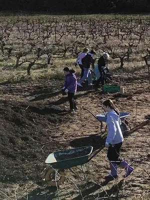 Nos mains dans la terre, l'aventure des enfants et des arbres