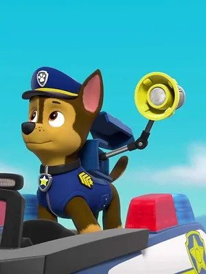 Paw Patrol, la Pat'Patrouille S4 E11