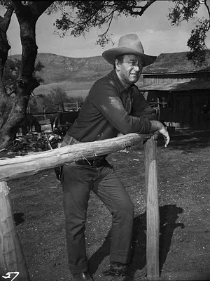L'homme qui tua Liberty Valance