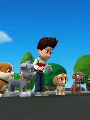 Paw Patrol, la Pat'Patrouille S1 E35