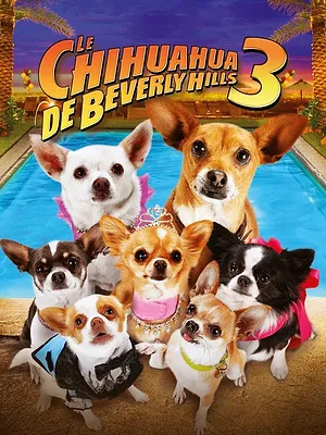 Le Chihuahua de Beverly Hills 3 : Viva la Fiesta !