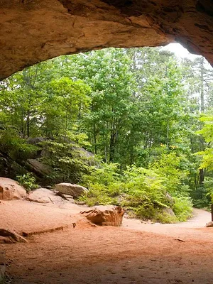 Traqueurs de monstres : l'enquête continue