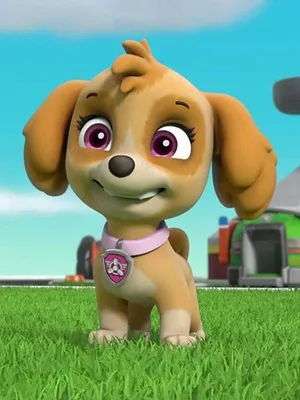 Paw Patrol, la Pat'Patrouille S4 E24