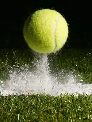 Paratennis : Open du Loiret