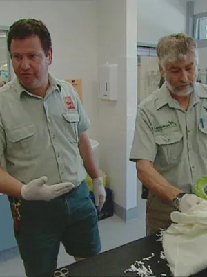 Douanes sous haute surveillance