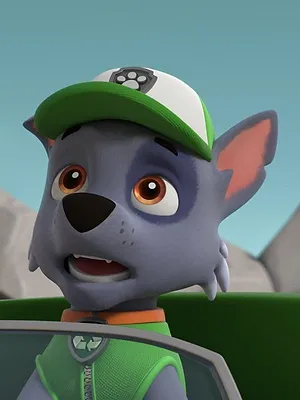 Paw Patrol, la Pat'Patrouille S10 E433