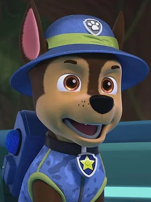 Paw Patrol, la Pat'Patrouille S10 E20