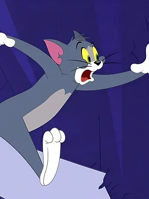 Tom et Jerry Show S4 E3