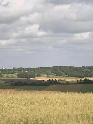 Patrimoines de France