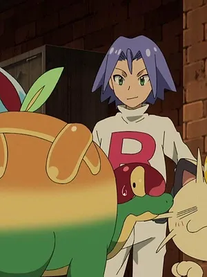 Pokémon, les voyages S24 E21