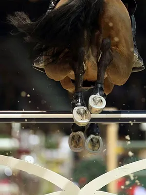 Equitation : Coupe du monde de saut d'obstacles