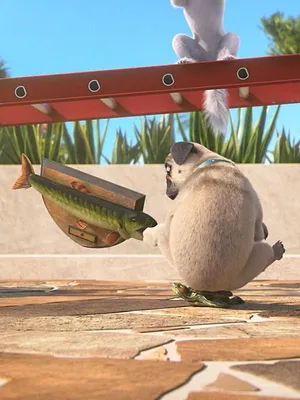 Mike, une vie de chien S1 E45