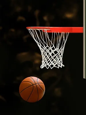 Olimpia Milan / Fenerbahçe