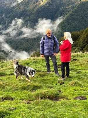 Chronique d'en haut